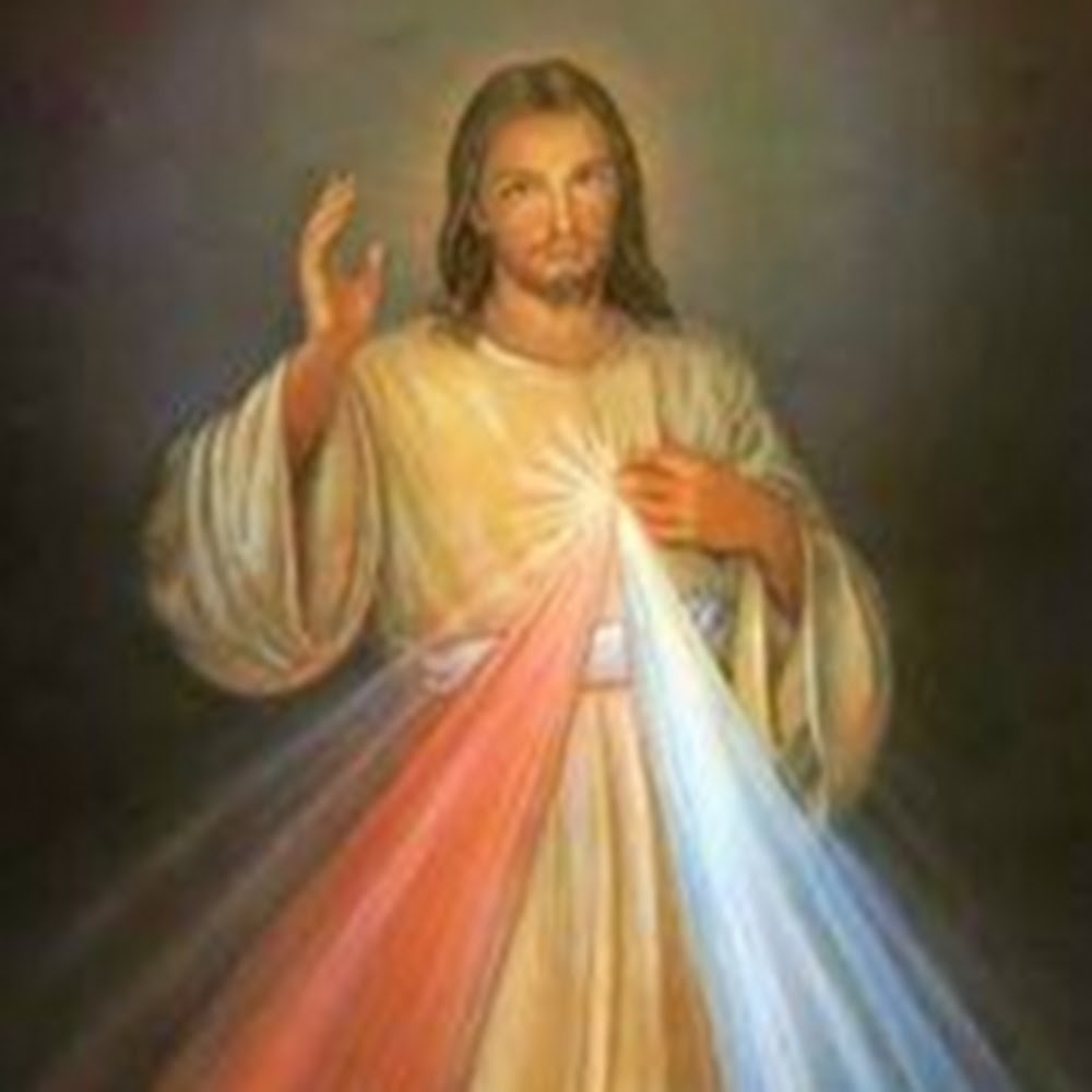 Meet your Posher, Daisy